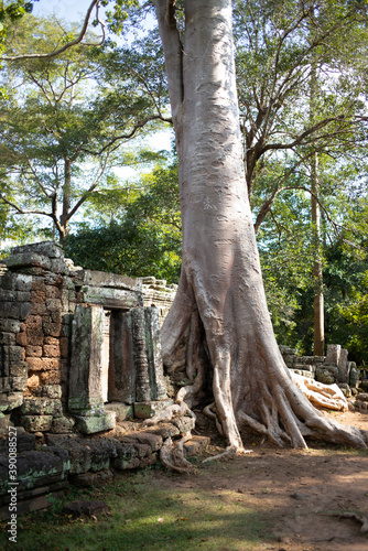 Angkor Wat Temple in the Ancient city of Angkor Thom  Siem Reap  Cambodia 