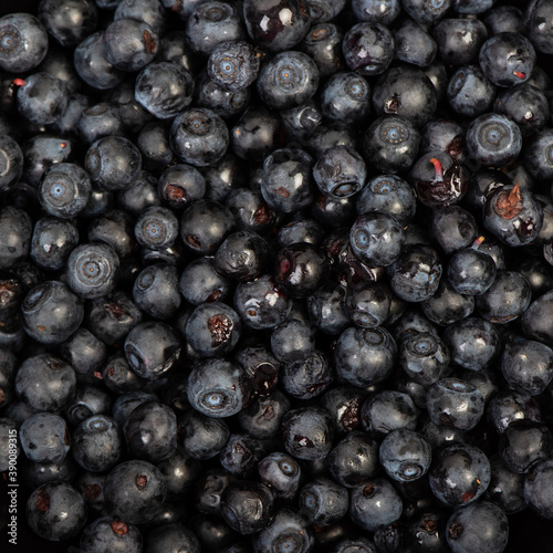 Fresh dark blueberry