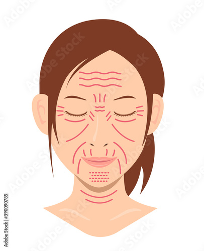 Facial wrinkles ( female face ) vector illustration / no text