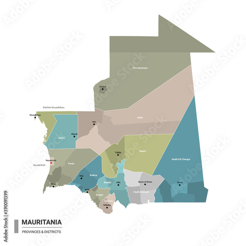 Mauritania higt detailed map with subdivisions. Administrative map of Mauritania with districts and cities name, colored by states and administrative districts. Vector illustration with editable and l photo