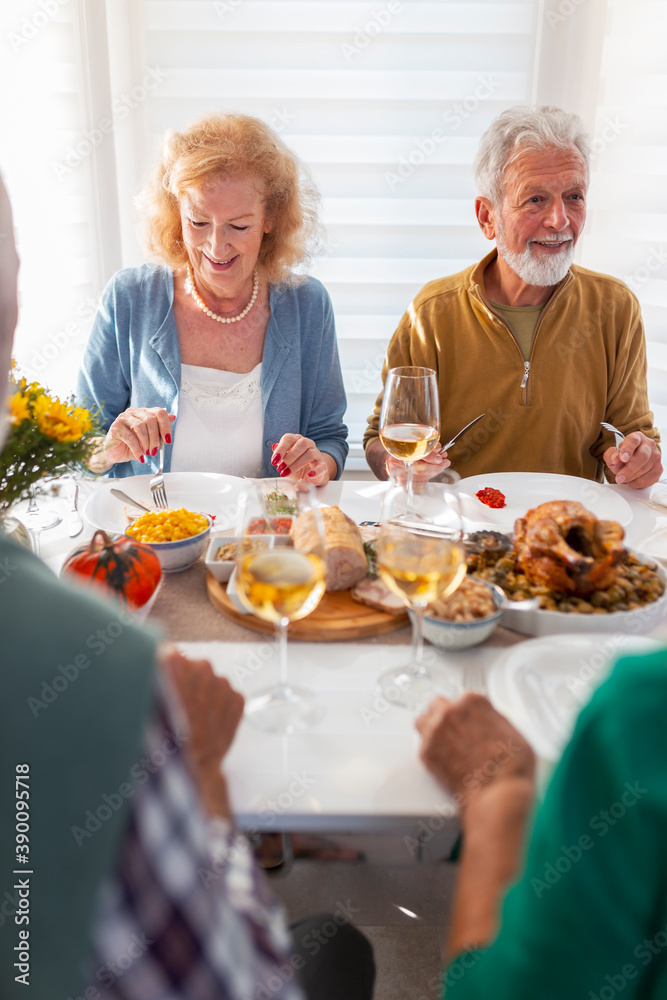 Elderly friends having Thanksgiving dinner Elderly friends having Thanksgiving dinner