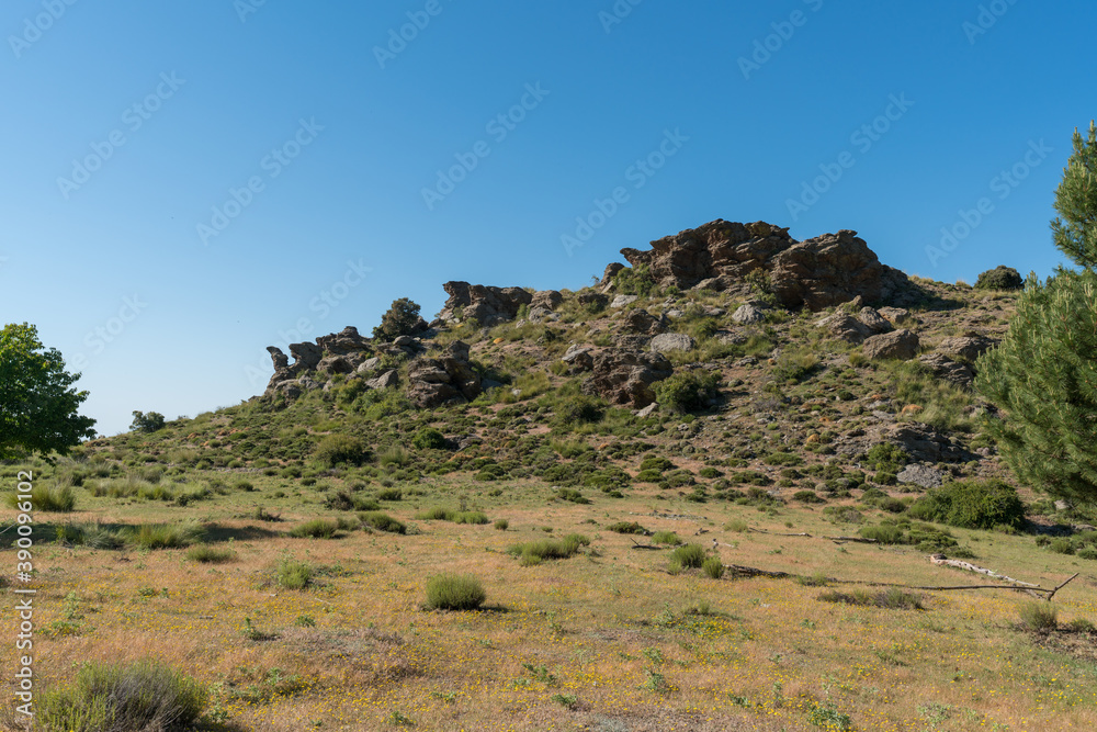 Rocky area with vegetation in Sierra Nevada