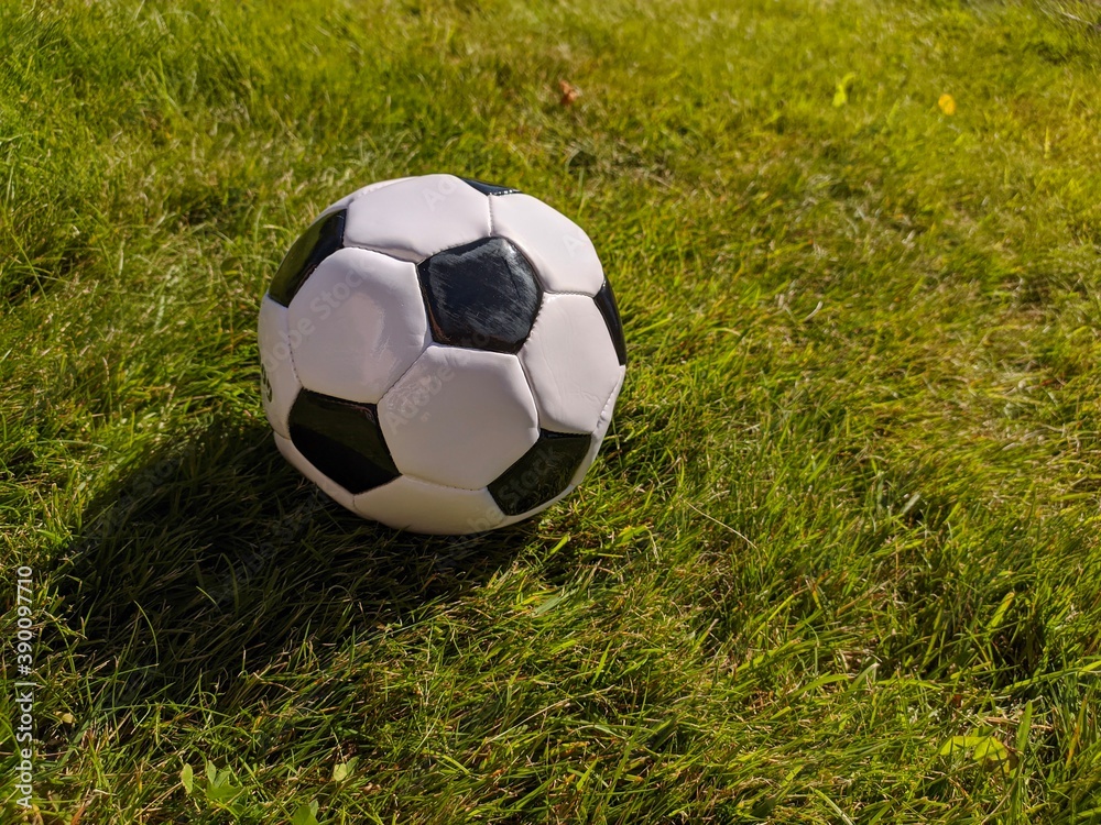 Fototapeta premium soccer ball on grass