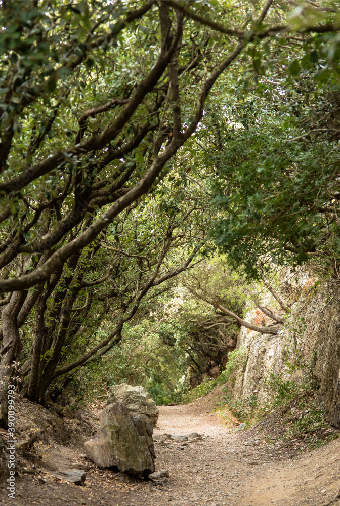 Sentier des douaniers à Hyères, France Sentier des douaniers à Hyères, France