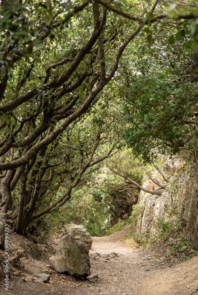 Sentier des douaniers à Hyères, France