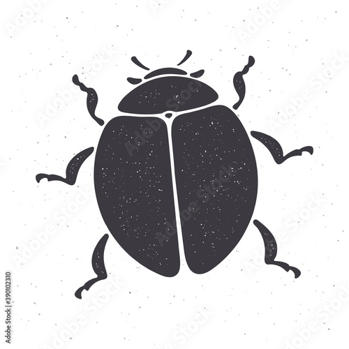 Silhouette of bug top view. Vector illustration. Insect in nature. Pattern for packaging, signboards, showcases, textiles, clothes, emblems, greeting cards. Isolated white background