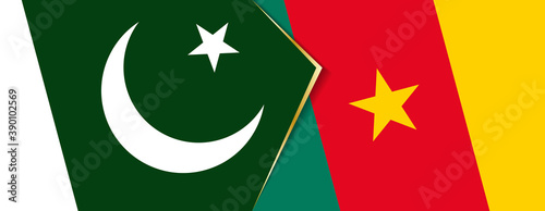 Pakistan and Cameroon flags, two vector flags.