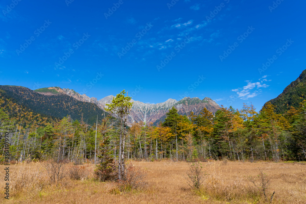 【上高地】秋の田代湿原(田代池) 【上高地】秋の田代湿原(田代池)