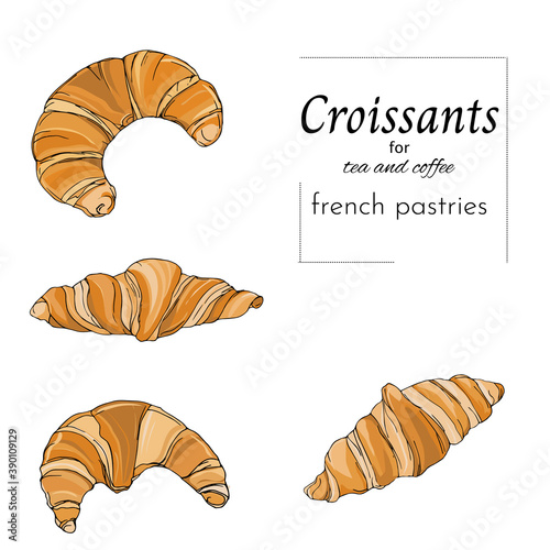 Set of croissants, hand-drawn on a white background. French pastries vector illustration. Colorful drawing for your design.