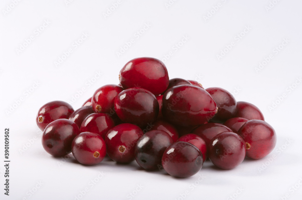 Fresh wild cranberries. Studio shoot. Fresh wild cranberries. Studio shoot.