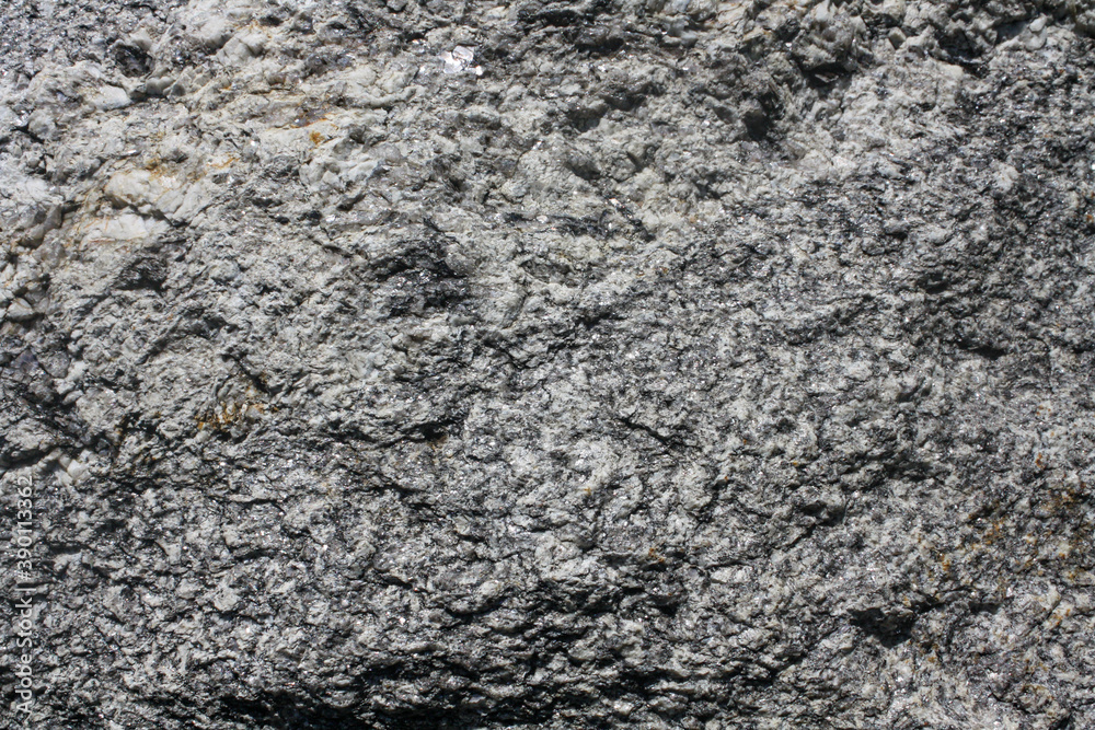 Orthogneiss surface. Gneissic texture. Metamorphic rock . Orthogneiss surface. Gneissic texture. Metamorphic rock .