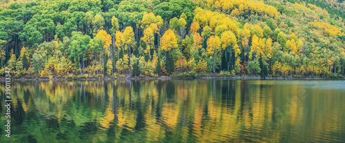 Reflection in the water of the autumn forest, natural background, panoramic view
