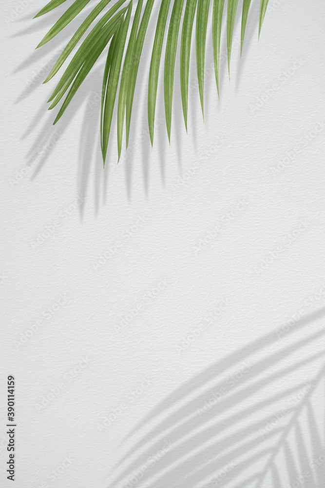 Fototapeta premium Creative layout made of tropical leaves on white background. Minimal summer exotic concept with copy space.