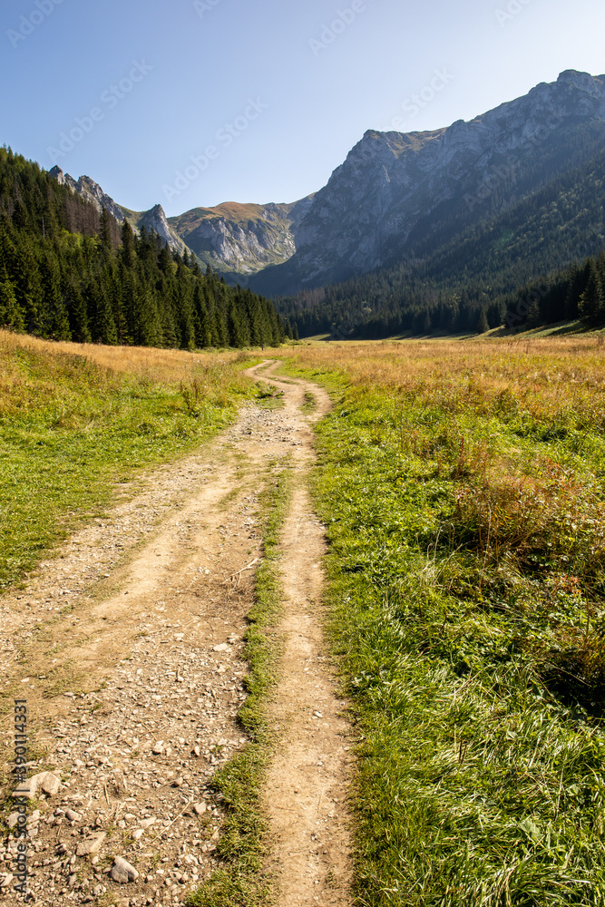 Mountain glade Wielka Polana Malolacka with pine trees and spruces in autumn, with rocky Tatra Mountains in the background, Poland. Giewont, Siodlowa Turnia, Mnichowe Turnie, Wielka Turnia peaks. Mountain glade Wielka Polana Malolacka with pine trees and spruces in autumn, with rocky Tatra Mountains in the background, Poland. Giewont, Siodlowa Turnia, Mnichowe Turnie, Wielka Turnia peaks.