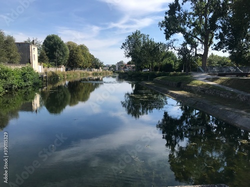 reflection of trees in the water