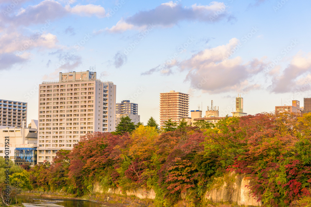 Fototapeta premium 夕刻の仙台 中の瀬橋より望む