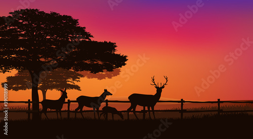 Fotografia herd of grazing deer behind farm fence with trees and sunset sky - eveing scene