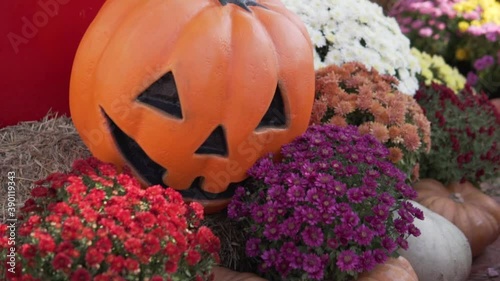 Stylish compositions to halloween pumpkin with flowers on the street. photo