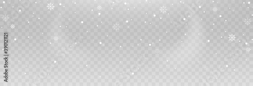 Vector snowflakes. Snowfall, snow. Snowflakes on an isolated background. PNG snow. Snow storm, Christmas snow. Vector image.