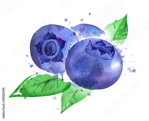 Watercolor vector illustration of blueberry