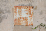 old cracked and weathered wall with a rusty metal plate or window and a branches with leaves, perfect for a background with text or a giftcard