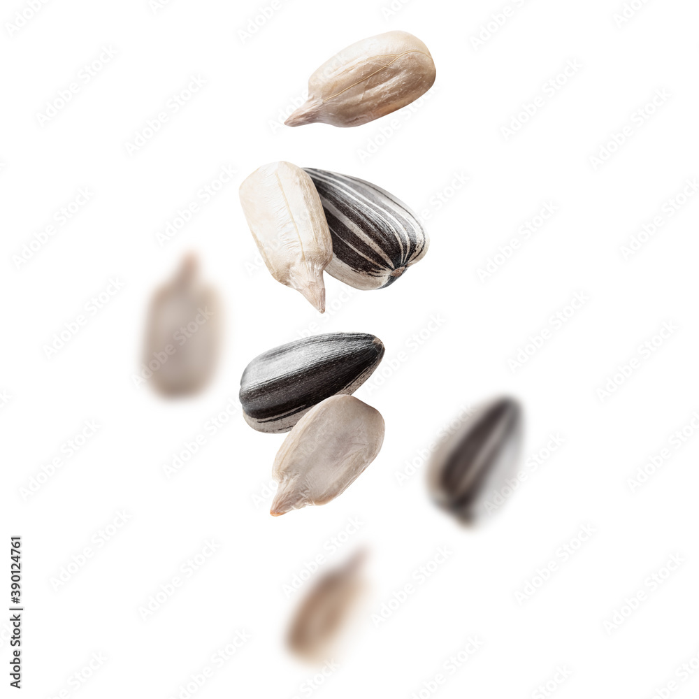 Flying sunflower seeds on white background Flying sunflower seeds on white background