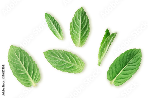Mint leaves isolated on white background. Pattern, collection, top view 