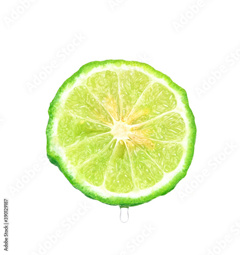 Kaffir lime  isolated on white background