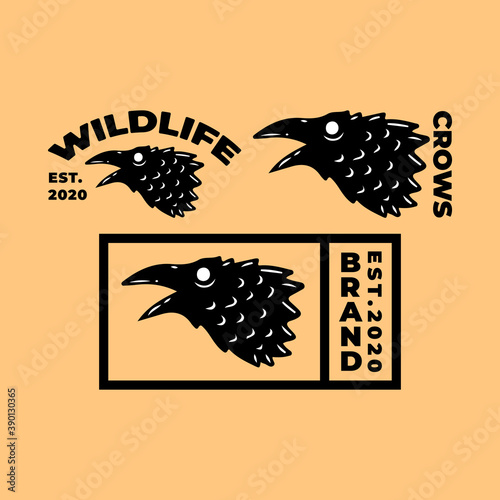 Cool crows in hype style, illustration for poster, sticker, or apparel merchandise.With tribal and hipster style.