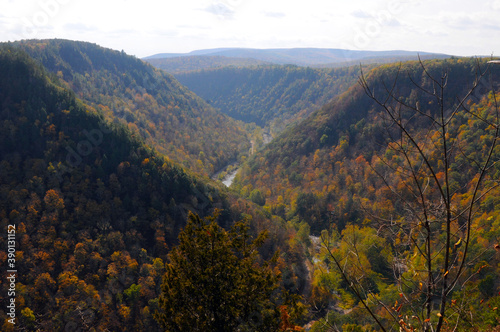 Grand Canyon of Pennsylvania, Pine Creek Gorge, Barbour Rock Trail © Gregory