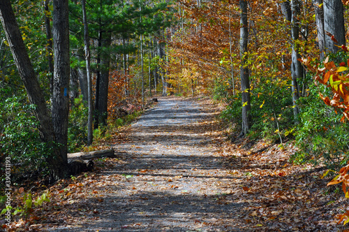 Grand Canyon of Pennsylvania, Pine Creek Gorge, Barbour Rock Trail