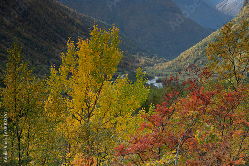 View from Hjelledalen, Stryn, Norway. photo