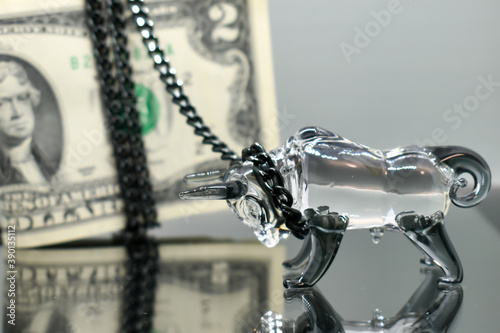 A glass figurine of a bull with a black metal chain around its neck stands against the background of us dollars. Selective focus. Concept: business, finance, resistance. Bull symbol of the year 2021