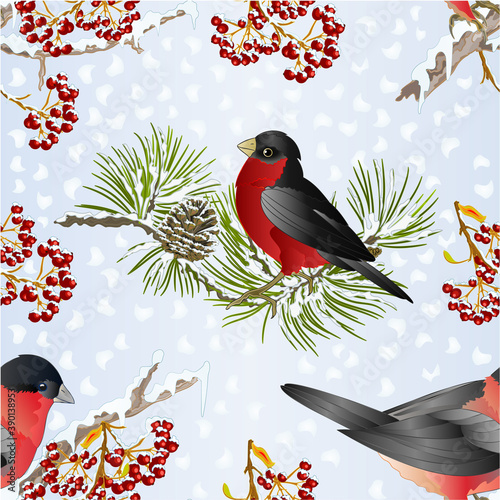 Seamless texture small birds bullfinch  songbirdon on a pine branch  on snowy and rowan berry winter background vintage vector illustration editable hand draw
