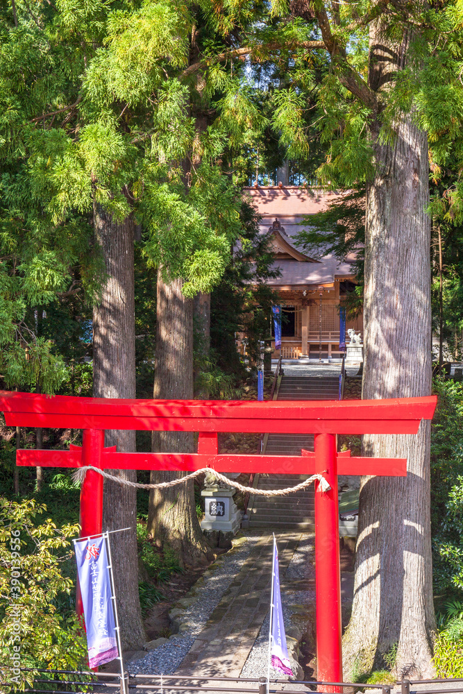 須山浅間神社　鳥居