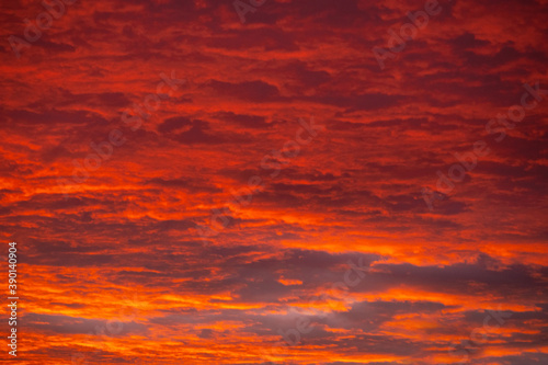 Beautiful orange sunset or sunrise clouds. © Pol Solé
