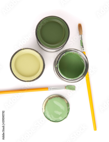 Wallpaper Mural Cans and brushes with different shades of green house paint. Torontodigital.ca