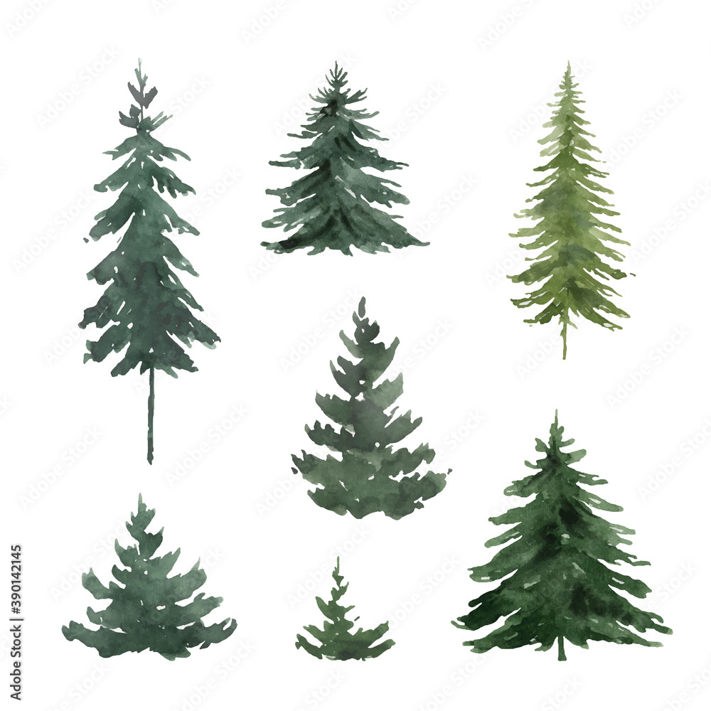 Watercolor vector set with green fir trees.