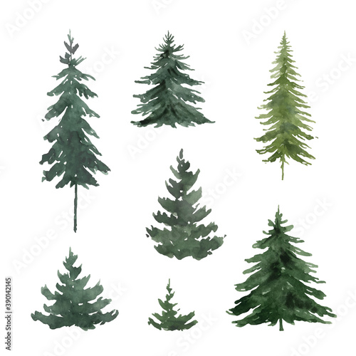 Watercolor vector set with green fir trees. photo