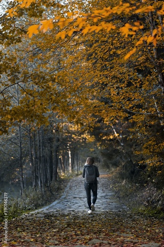 Young woman in warm clothes walking on yellow fallen leaves in forest. Golden autumn day. Spending time alone in nature. © murat