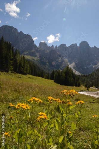 Hiking in the lush and dramatically beautiful Val di Fiemme and Passo Rollo in the Dolomites, Northern Italy