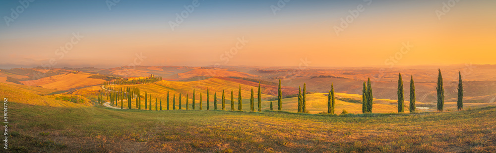 Wide angle panorama of summer sunrise over beautiful curved road with cypress trees rolling over the hills. Travel destination Tuscany, Italy