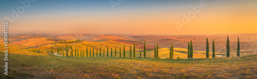 Wide angle panorama of summer sunrise over beautiful curved road with cypress trees rolling over the hills. Travel destination Tuscany, Italy