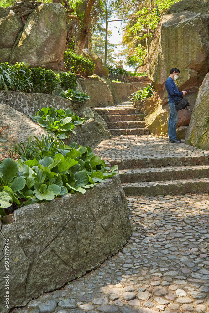 Escalinatas de piedra en un parque Escalinatas de piedra en un parque
