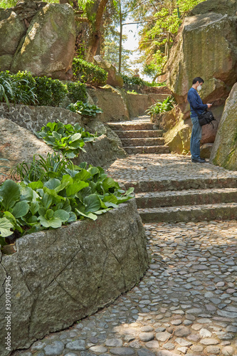 Escalinatas de piedra en un parque