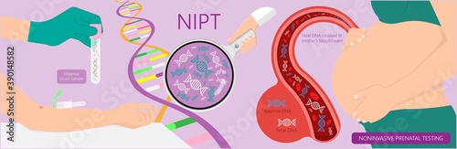 Noninvasive prenatal testing NIPT screening genetic disorders bloodstream cfDNA lab plus diagnostic diagnose 21 18 13 cell free chromosomal NIFTY exam simple pregnancy