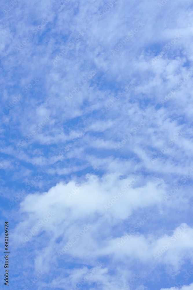 Obraz premium うろこ雲とわた雲