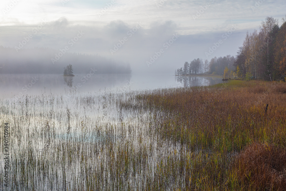 Autumn, foggy morning, over the lake, in the distance you can see a small island. Finland, Scandinavian nature. Autumn, foggy morning, over the lake, in the distance you can see a small island. Finland, Scandinavian nature.