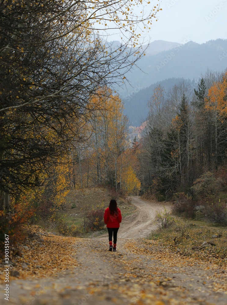 Young woman in warm clothes walking on yellow fallen leaves in forest. Golden autumn day. Spending time alone in nature.