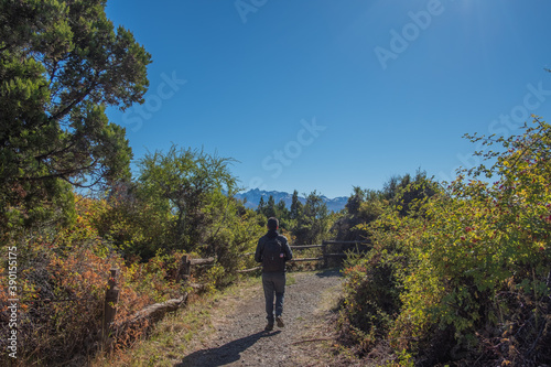 man from back walking into the forest